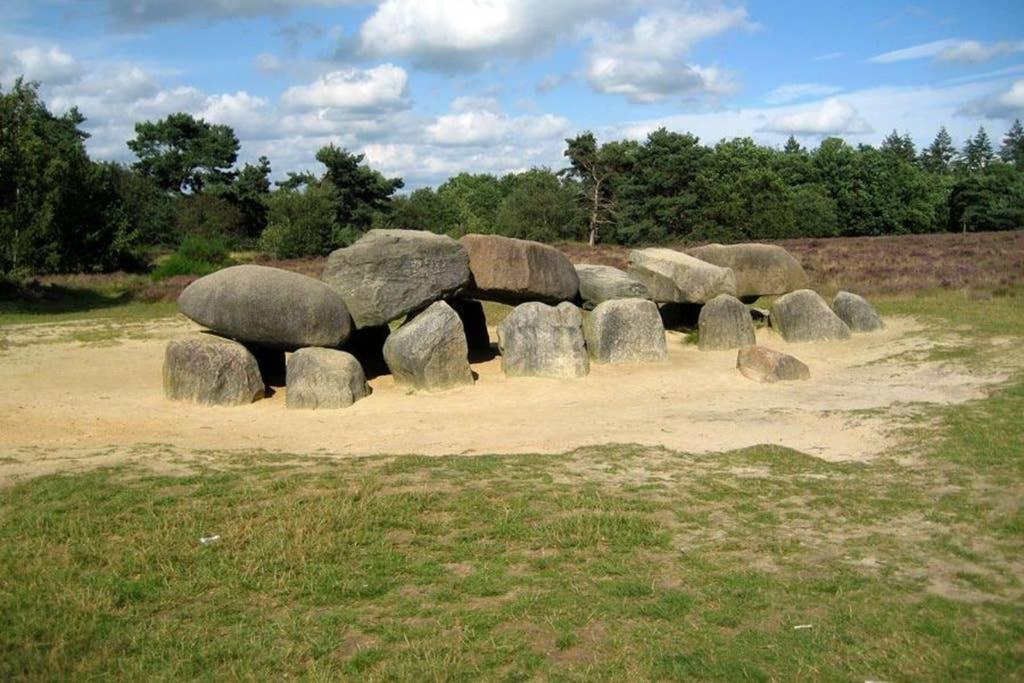 Rustig Gelegen Bungalow In Mooi Havelte Exterior foto